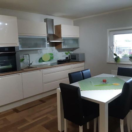 Sanja Apartment Near To Ljubljana Preserje pri Radomljah 外观 照片